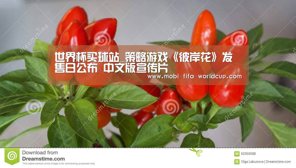 世界杯买球站_策略游戏《彼岸花》发售日公布 中文版宣传片(图1) 买球站
