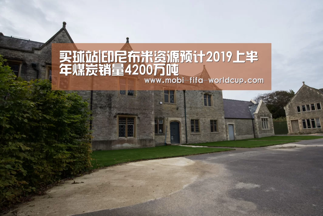 买球站|印尼布米资源预计2019上半年煤炭销量4200万吨(图1) 世界杯买球